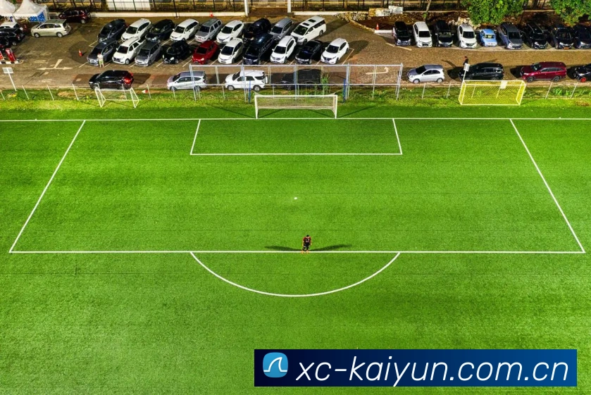 开云「中国」Kaiyun·官方网站-登录入口/门户网站 隐私保护
